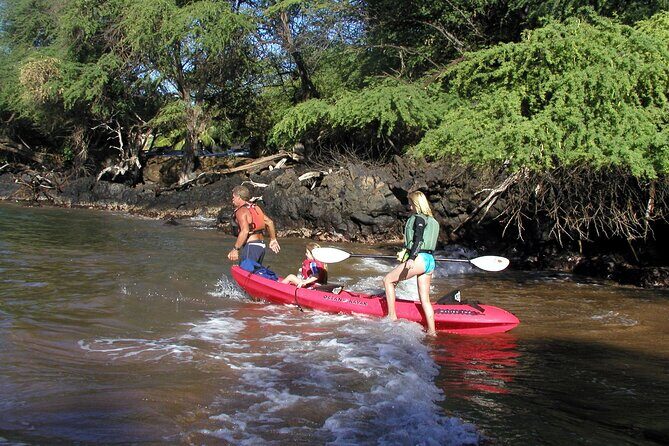Maui South Shore Premier Kayak and Snorkel Tour from Makena Beach - The Sum Up