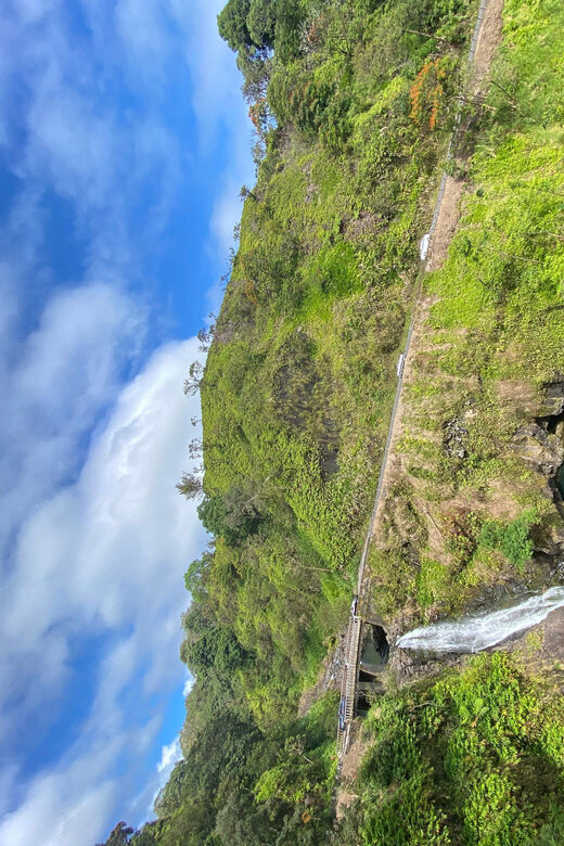 Maui: Van Day Trip to Hana with Local Guide and Lunch - Discovering Hana: What the Tour Offers
