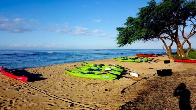 Maui: West Side Discovery Kayak & Snorkel from UKUMEHAME - What Makes This Tour Stand Out?