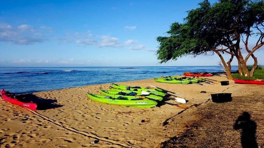 Maui: West Side Discovery Kayak & Snorkel from UKUMEHAME - What Makes This Tour Stand Out?