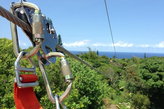 Maui Zipline Eco Adventure: 8 Lines through the Jungle - The Sum Up