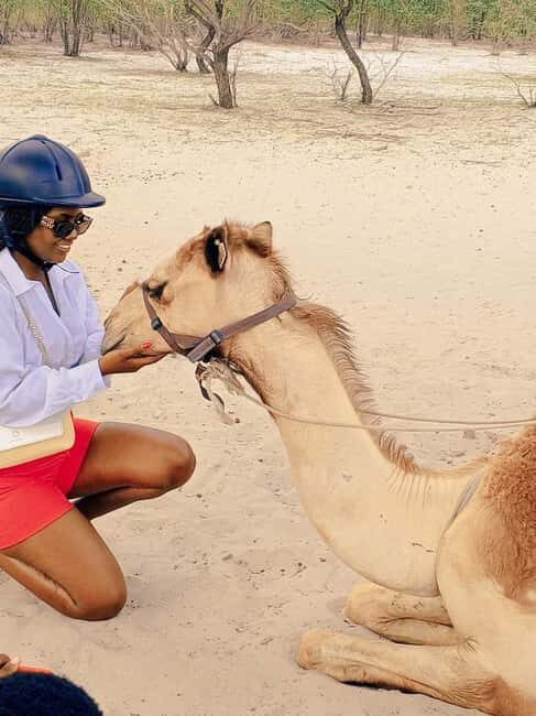 Maun, Botswana: Safari Camel Adventure - What the Experience Looks Like