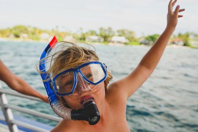 Mauna Kea 3hr Two Stop Sealife Snorkel Adventure - What Sets This Tour Apart? The Value of a Carefully Chosen Marine Adventure