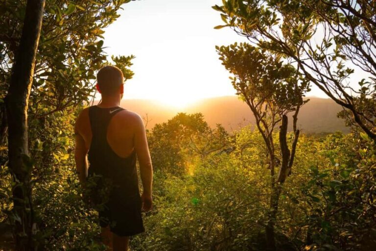 Mauritius: Black River Gorges Guided Hike - Who Should Consider This Tour?