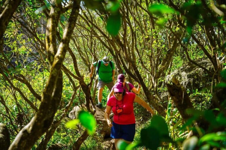 Mauritius: Exploring the Tamarind Falls with a Guide - FAQ