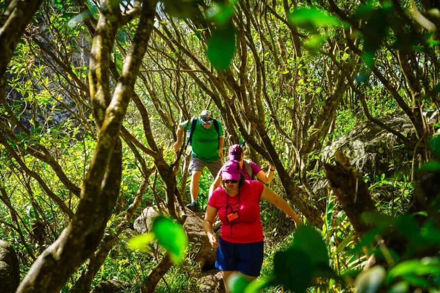 Mauritius: Exploring the Tamarind Falls with a Guide - FAQ