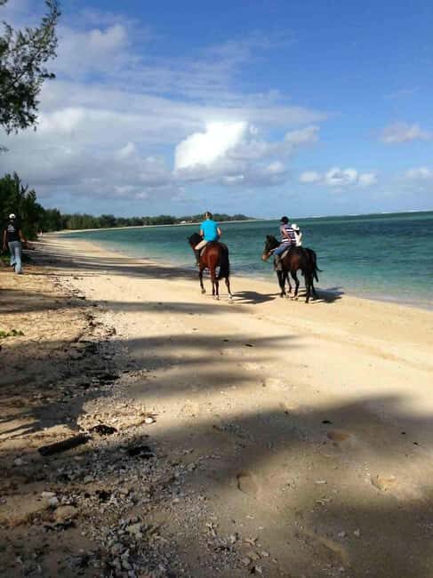 Mauritius: Horse riding on the deserted beach of Riambel - The Ride Experience: A Detailed Breakdown