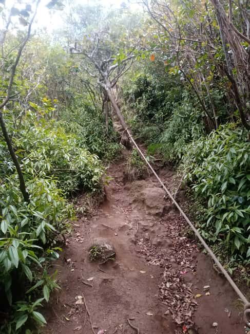 Mauritius: Piton de la Petite Rivière Noire Guided Hike - FAQs