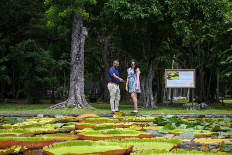 Mauritius: Private Full-Day North Mauritius Tour - The Practical Side: What’s Included and What’s Not