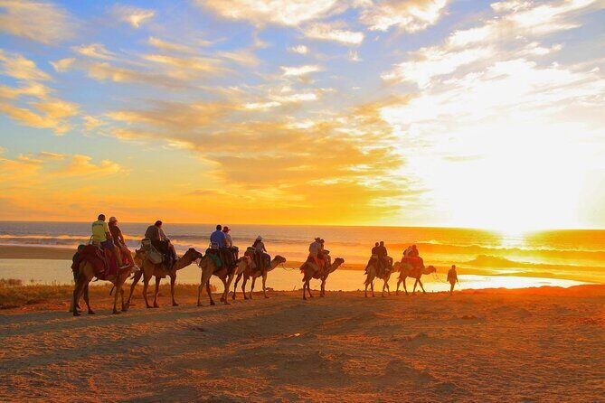 Maverick and RZR in the Beach and Desserts from Los Cabos - The Value of This Tour
