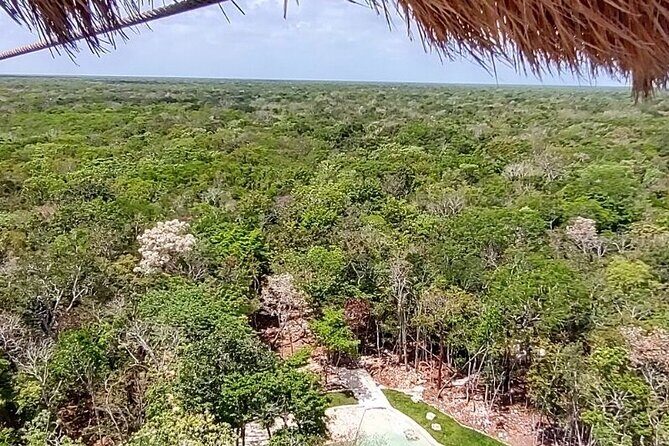 Maya Adrenaline: ATV, Ziplines & Cenote From Playa del Carmen. - Overall Experience and Value