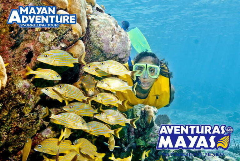 Mayan Adventure - 3 different snorkeling sites in one day! - The Practicalities: Transportation, Equipment, and Guides
