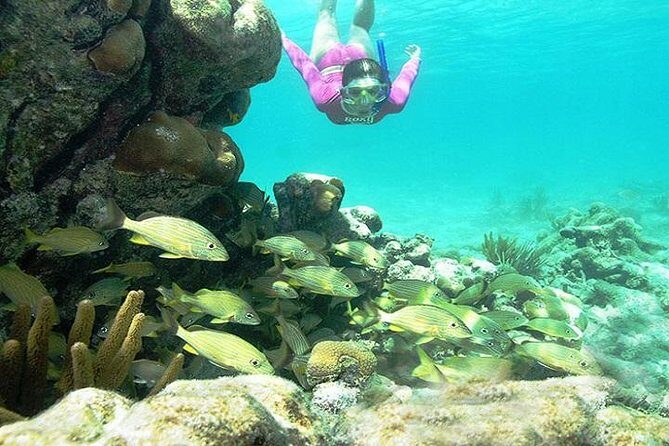 Mayan Adventure from Cancun - What the Tour Means for You