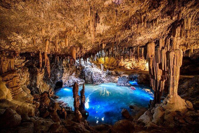 Mayan Underworld Experience (Cenote-Museum) - The Cultural and Culinary Touch