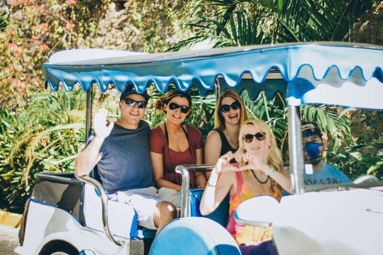 Mazatlan: City Tour in a Traditional "Pulmonia" Open-Air Car - A Breakdown of the Itinerary