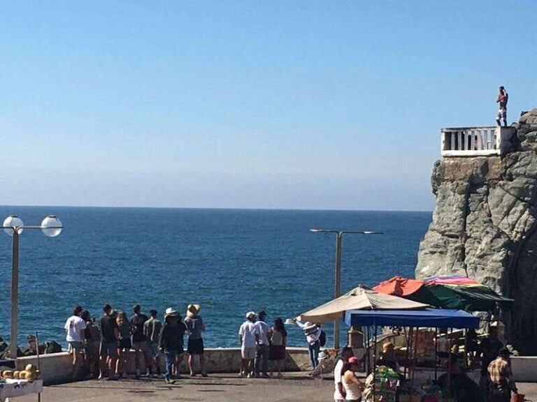 Mazatlan: Private van for 5 to 17 People - Who Should Consider This Tour?
