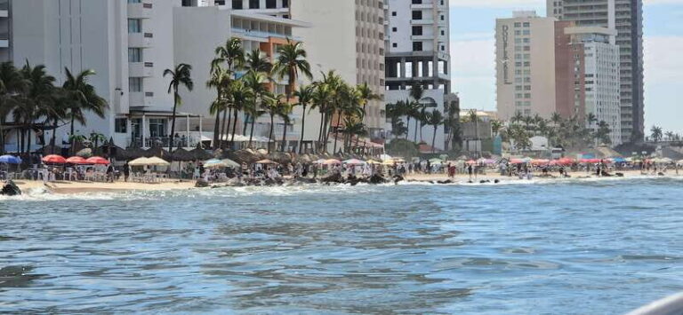 Mazatlan: Sea lions and snorkeling - What’s Included and What You Need to Know