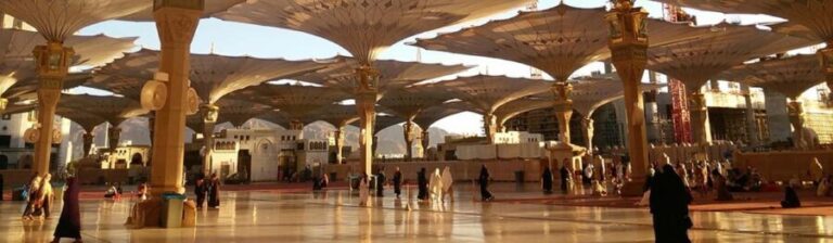Medina Tour From Jeddah by Train - Who Will Appreciate This Tour Most?