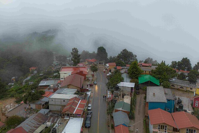 Meet San Jose del Pacífico in one day - Why This Tour Delivers Value