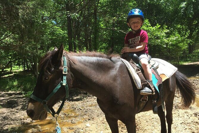 Memphis Horseback Trail Ride Tour - The Scenic Trails and Wildlife