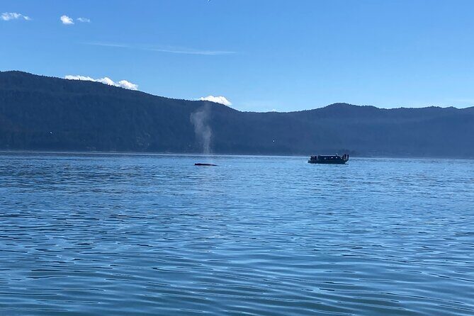Mendenhall Glacier Waterfall and Whale Watching Tour - What Travelers Are Saying
