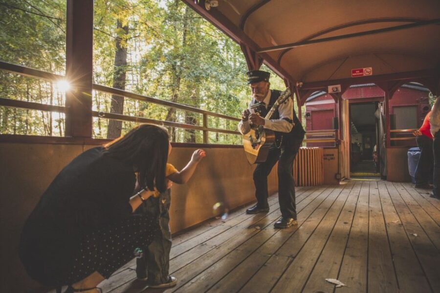 Mendocino County: Skunk Train Wolf Tree Turn Train Ride