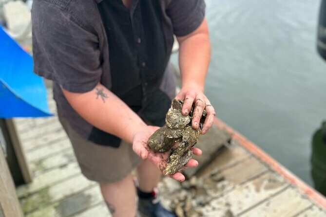 Mere Point Oyster Farm Tour - Who Will Love This Tour?