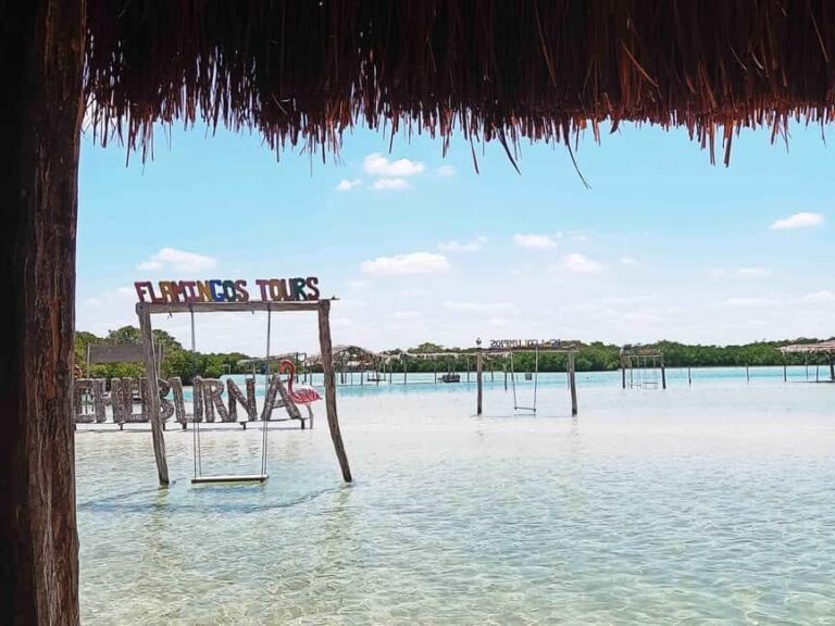 Mérida: Beach tour and restaurant with ocean view with a local guide - Discovering the Beaches of Yucatán from a Different Perspective