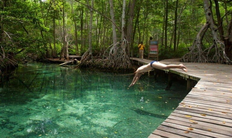 Merida: Celestun Boat Ride Mangrove Experience! Beach Time - Practical Details and Value