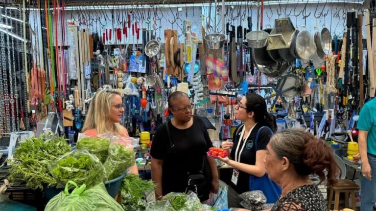 Mérida Cooking Class, taste of Yucatan - What Makes This Tour Stand Out?