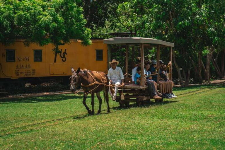 Merida: Hacienda Sotuta de Peon w/ Cenote & Henequen Tour - The Itinerary: What You Can Expect