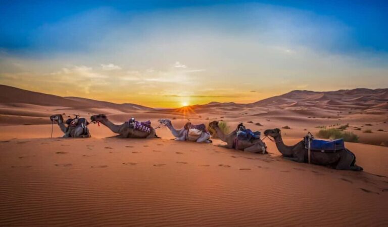 Merzouga: 2-Nights Camel Trek in Erg Chebbi Desert - What to Expect on the Tour
