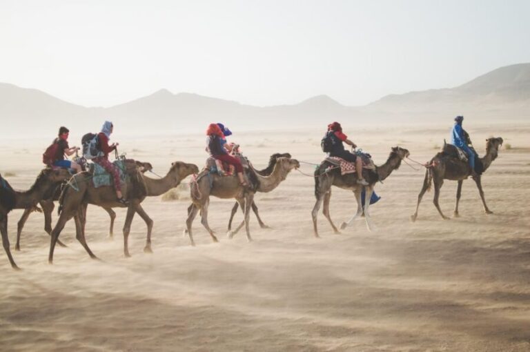 Merzouga: Overnight Stay in Luxury Desert Tent with Dinner - What’s Included & What’s Not