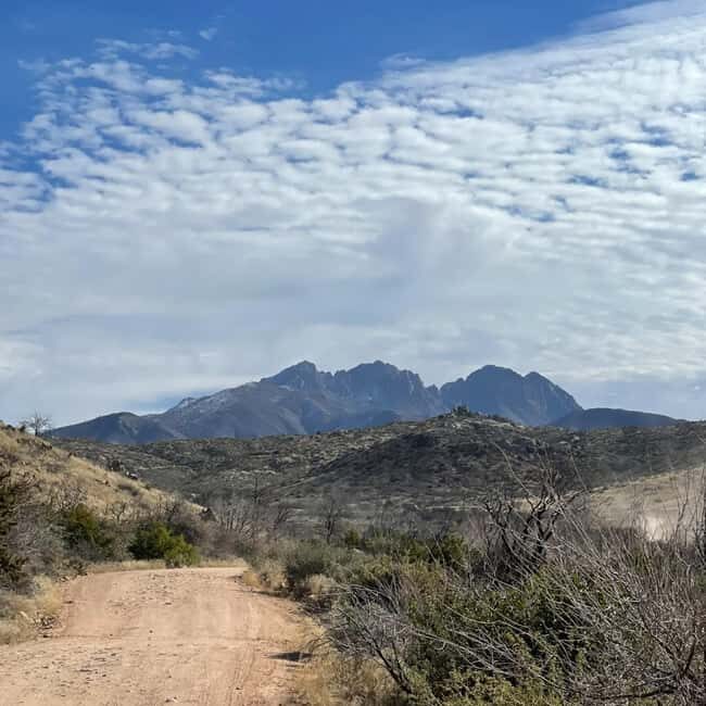Mesa, AZ: Four Peaks Wilderness Off-Road Tour with Lunch - The Itinerary: What to Expect on the Day
