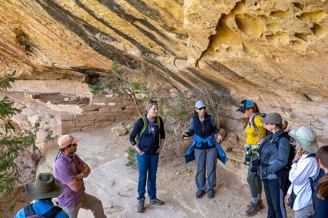 Mesa Verde Express Tour With Tickets To Cliff Palace - The Experience: What Youll Actually See and Do
