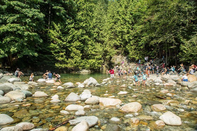 Mesmerizing Nature Walk in Lynn Canyon Park - Final Thoughts: Is This Tour Worth It?