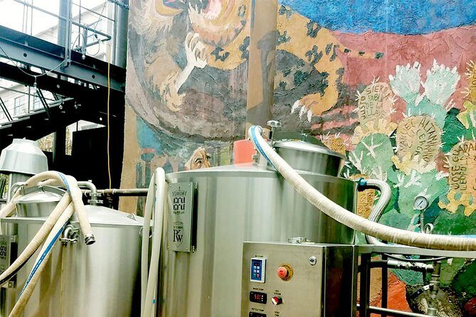 Mexican Craft Beer Tasting Experience - What Do the Reviews Say?