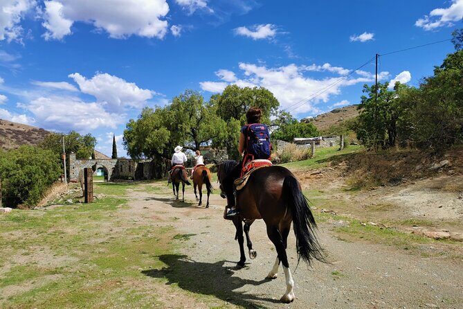 Mexican Equestrian Experience - Who Should Consider This Tour?