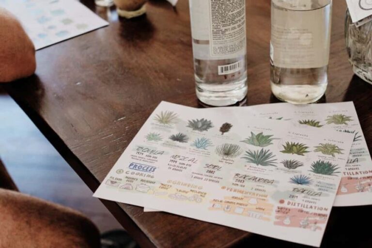 Mexican Spirits Tasting: Experience the Essence of Tradition - A Deep Dive into the Mexican Spirits Tasting Experience