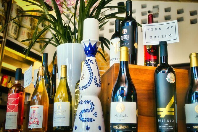 Mexican Wine Tasting Experience - Who Will Love This Tour?