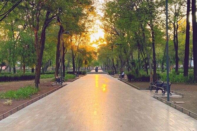 Mexico City Centro Historico Private Tour - Practical Details and What They Mean for You