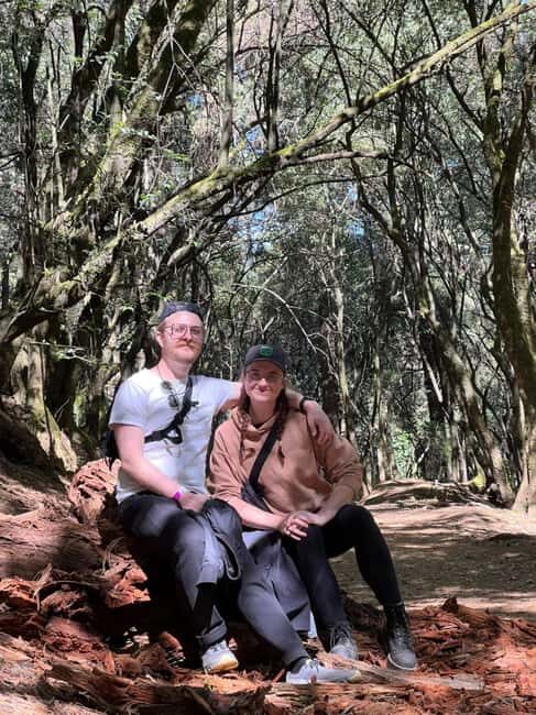 Mexico City: Desierto de los Leones Hike & Ex-Convent Tour - Who Is This Tour Best For?