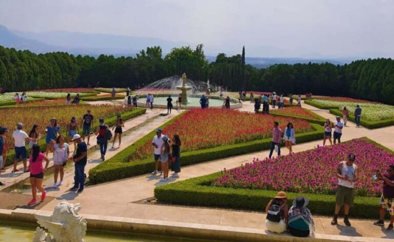 Mexico City: Explore Mexican Gardens and Tepoztlan Town - Why This Tour Works for Many Travelers