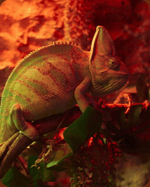 Mexico City: Fast Pass Ticket to Acuarium Inbursa - What Makes This Tour Stand Out?