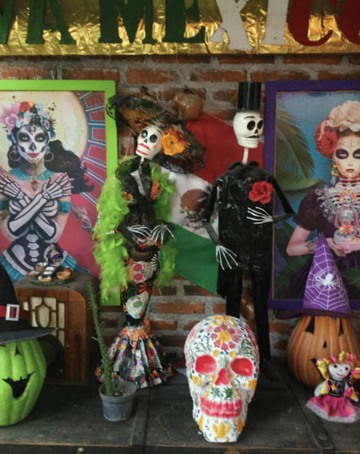 Mexico City: Frida Kahlo, Coyoacán, and Xochimilco Day Tour - The Canals of Xochimilco: A Lively Finale