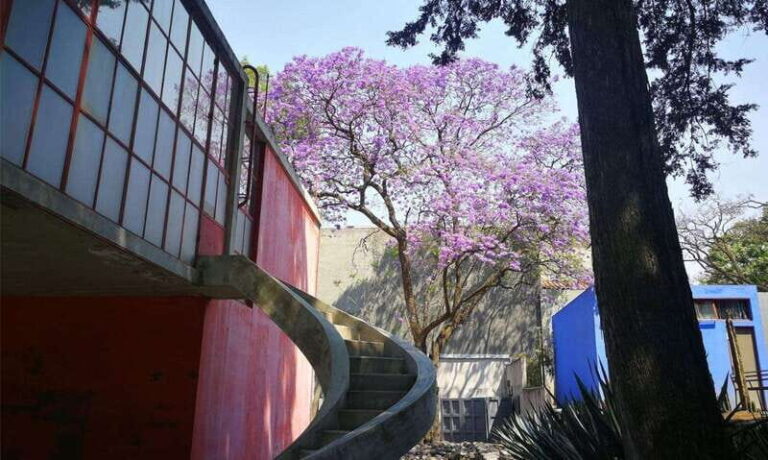 Mexico City: Frida Kahlo-Diego Rivera Studio House Tour - Who Will Love This Tour?