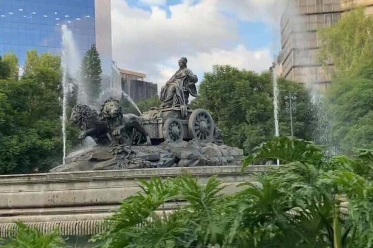 Mexico City: Guided Bike Tour of Culture and Local Taste - The Practicalities: What’s Included and How It Works