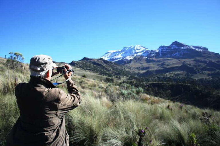 Mexico City: Guided Volcano Trek with Lunch - The Itinerary in Detail