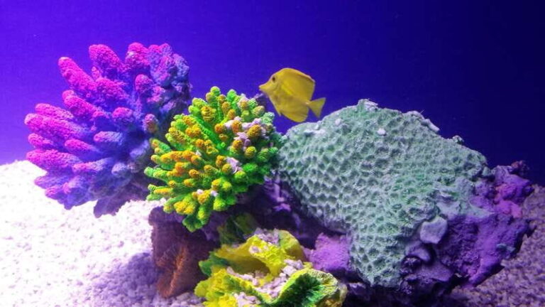 Mexico City: Inbursa Aquarium optional Round trip transfer - An In-Depth Look at the Inbursa Aquarium Experience