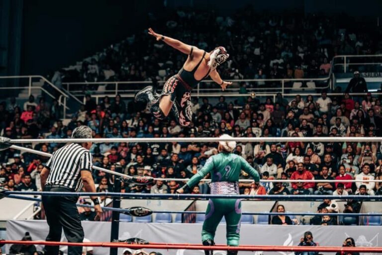 Mexico City: Mexican evening, lucha libre, and tequila - Transportation and logistics